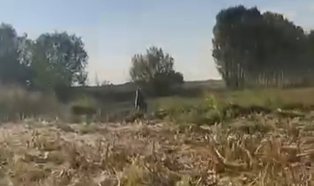 Karakoyunlu'da çiftçi ayı kovaladı