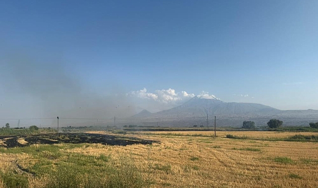 Iğdır&#039;da çıkan anız yangını gün boyu sürdü